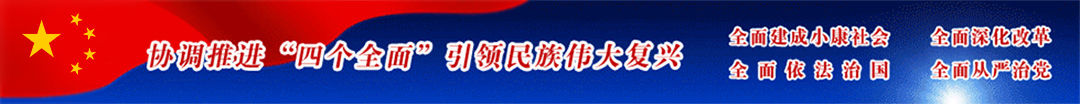 协调推进“四个全面” 引领民族伟大复兴